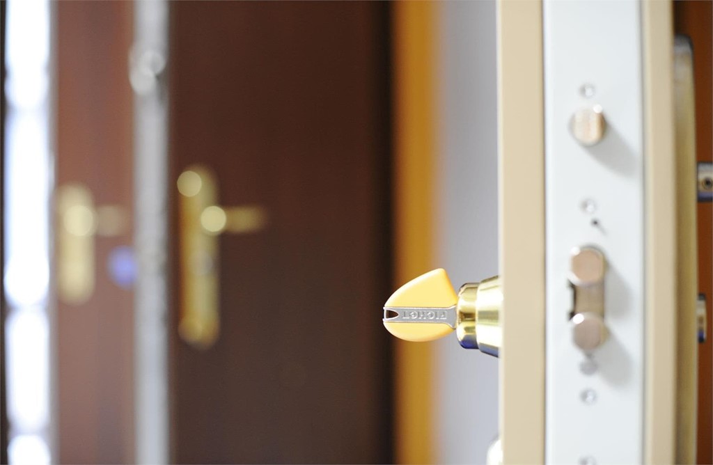 Características de las puertas de trastero de Fichet - Seguridad en la  vivienda
